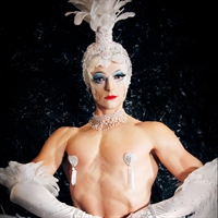 The Fantastic Phoenix