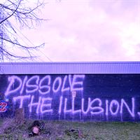 Walking Trees Collective 